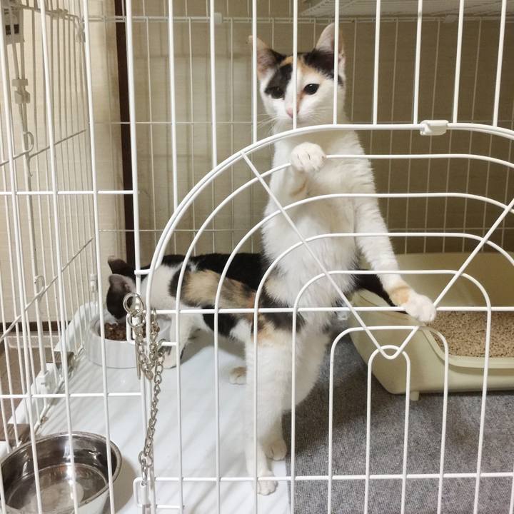 B3130e40 2c04 4247 a03e a18a6ca6a3f0