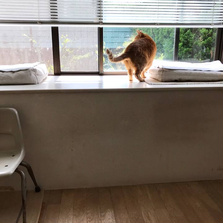 B314a756 acd9 4afe a753 83e4841d794f