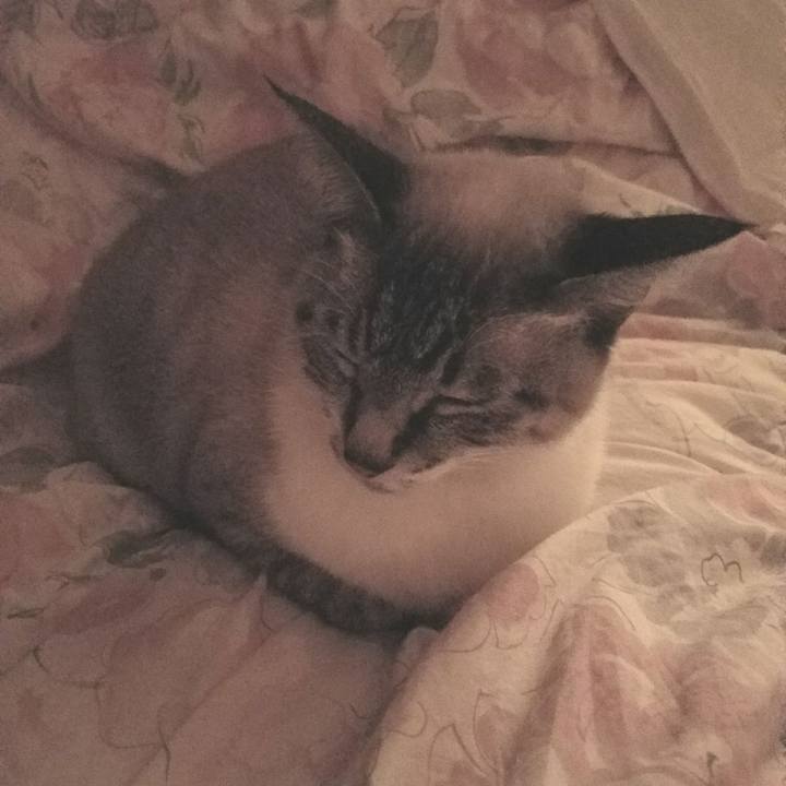 B314b6b6 fb76 4e17 b7bc f7dd332b3343