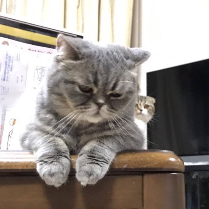 B3151c8a 3f68 444c af92 a462abb20e50