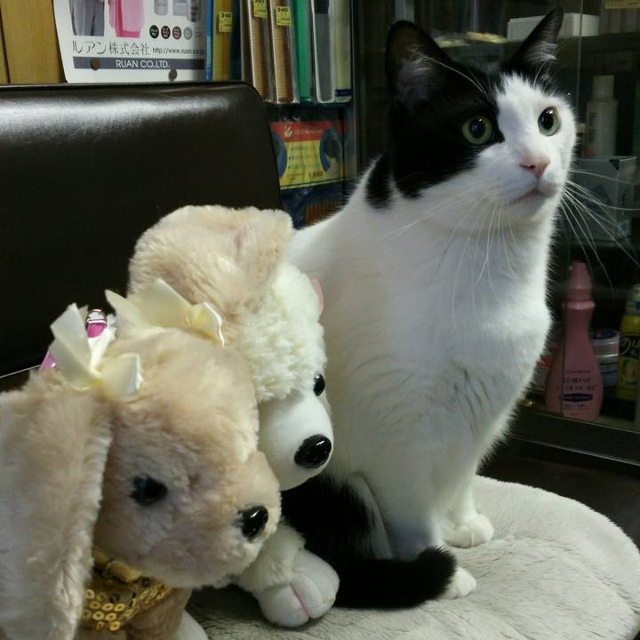 B3151ccb f904 4183 8910 d9863a712c9b