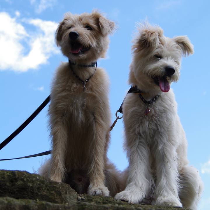 B31528ff a91e 4d1c 831e ac4745b7079a