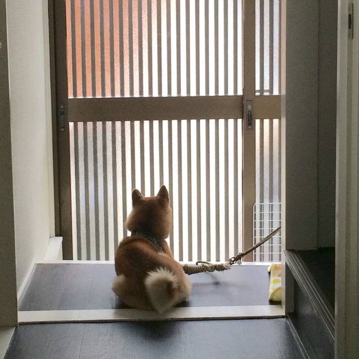 B315c5a0 8956 4b97 8777 feb351c8191d