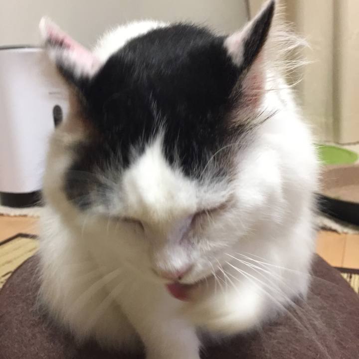 B316d10b 1a74 4c37 84b4 faec644a7a43