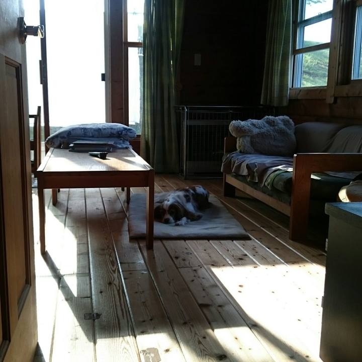 B3170721 7896 480e bd4d b2d33ae6a73b