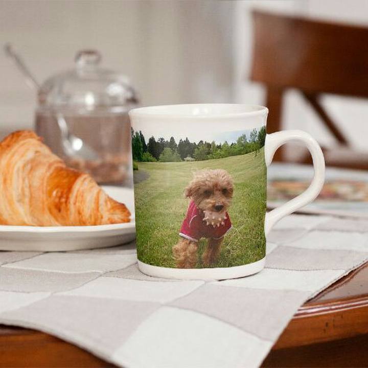 B3174352 3176 4c2c bb85 4e5f166e61a6