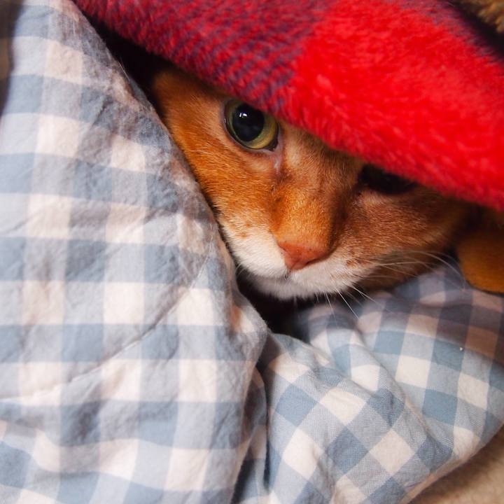 B31747fb 7ffa 4f4e 9ea9 f8ef8d0f02c4