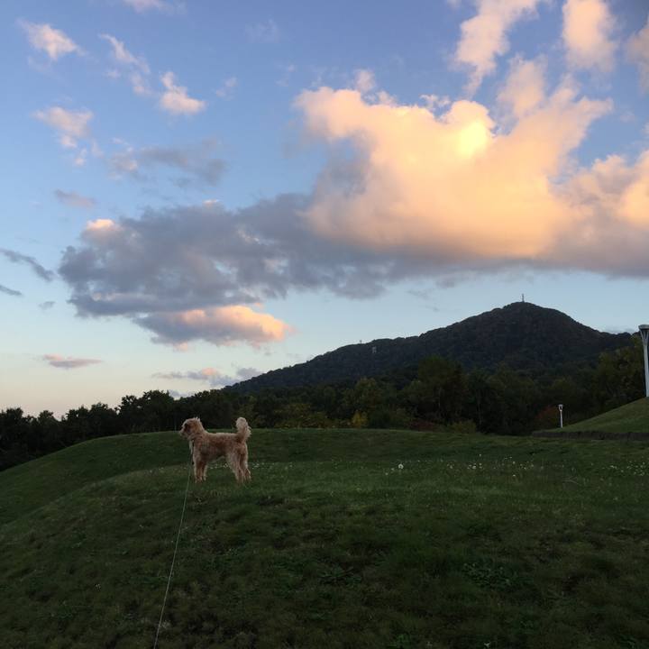 B31770e5 f40b 4f18 8ef4 44cb8f942449