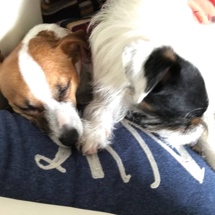 B317a150 b820 4888 8571 75cc77febf7b