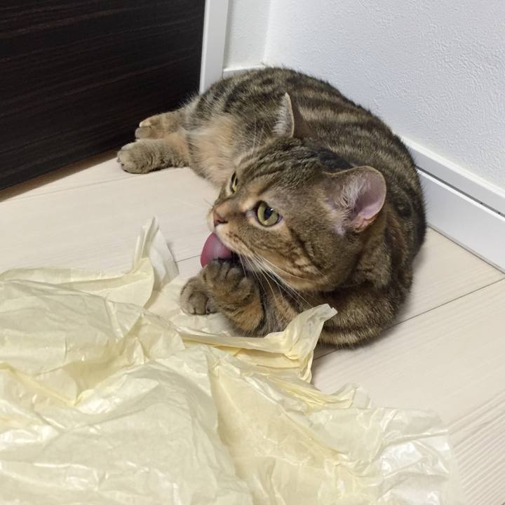 B31844ee f191 4fac ab62 7a0995359c50