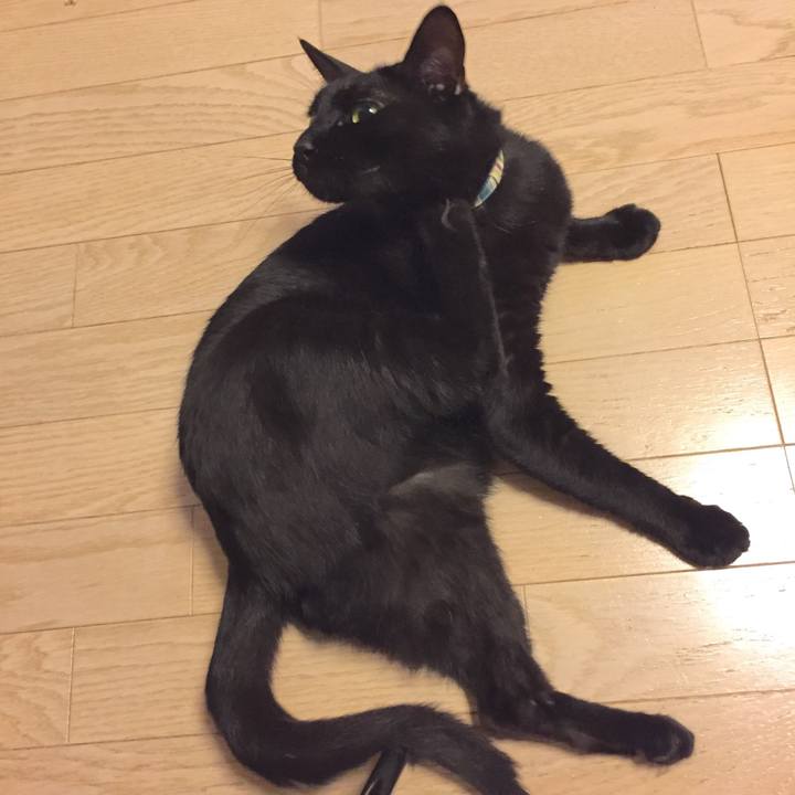 B319595f f47e 4b3b b186 7a03886f43f5