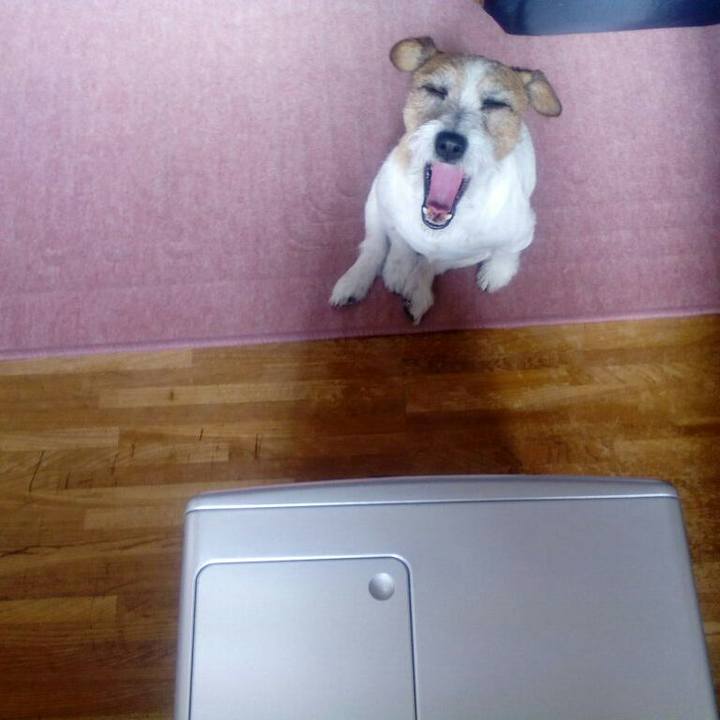 B3195d7c 6a47 4c23 a325 ed9b636c7b3c