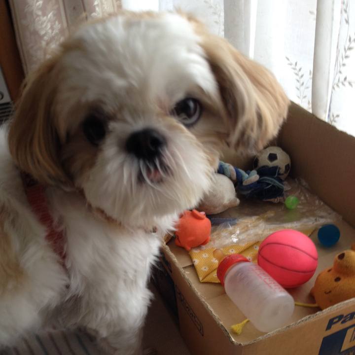 B319a56b 25dc 4906 942e 75f26c80f8fb