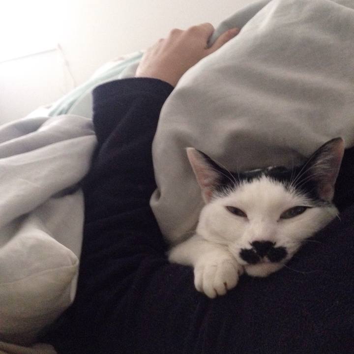 B319f90a 9717 402d b656 5931d6bd277f