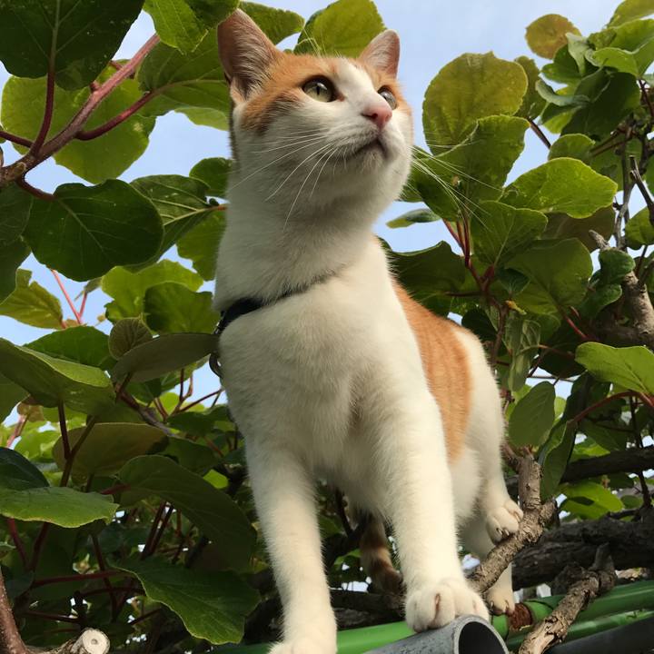 B31a64d6 e9bb 42a5 a450 a3b158074388