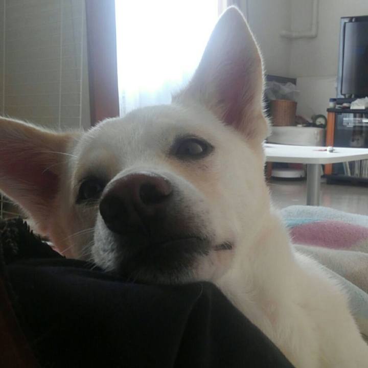 B31a9fb2 45a4 418a 8688 ad8ea4d37d60