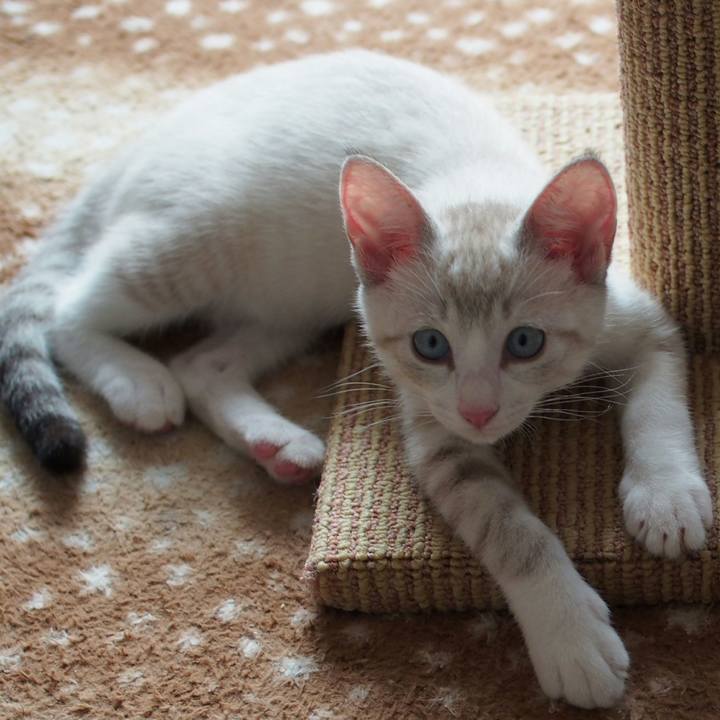 B31b1413 0648 4d45 a74a 35cf68a0a602