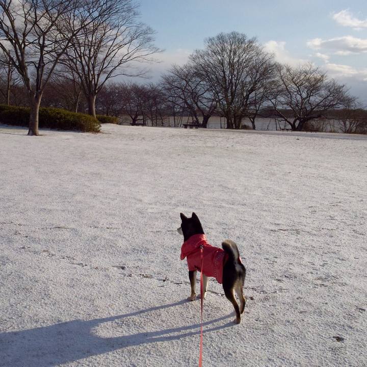 B31b4b3e 5c02 4380 aee2 057ce4dbc9cd