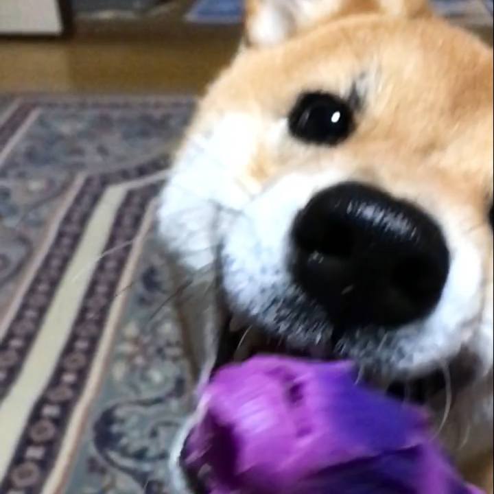 B31b70c6 ff17 43fb 8351 14decf09f692