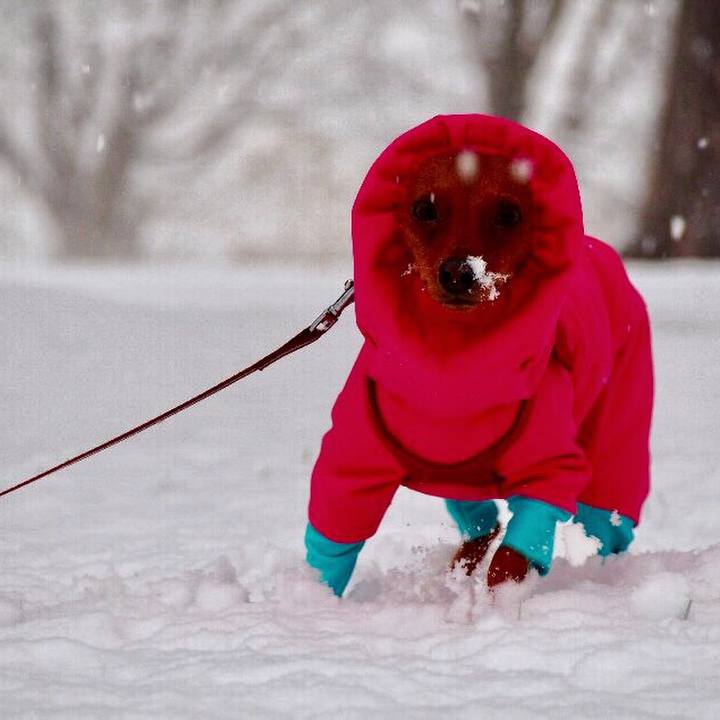 B31c42fe 2887 43c2 b3a9 983ced569c72