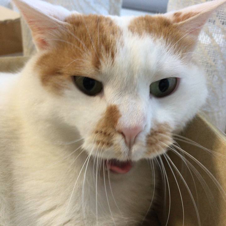 B31d157e ffff 4bac 9720 b02d64967d28