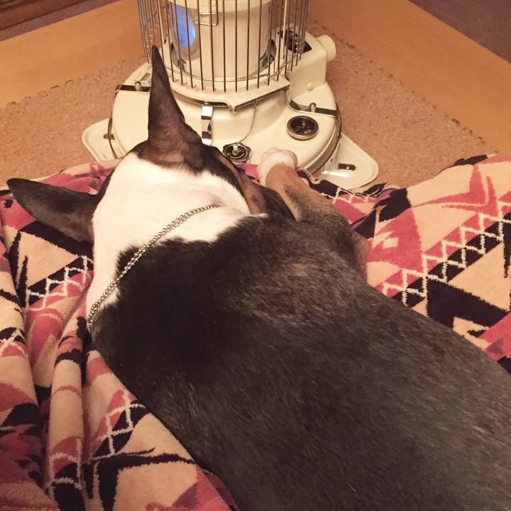 B31d5e55 657f 45d6 a373 3155f9457478