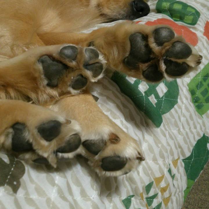 B31dd068 a792 4038 a3ef 3d0cb3dd0e67