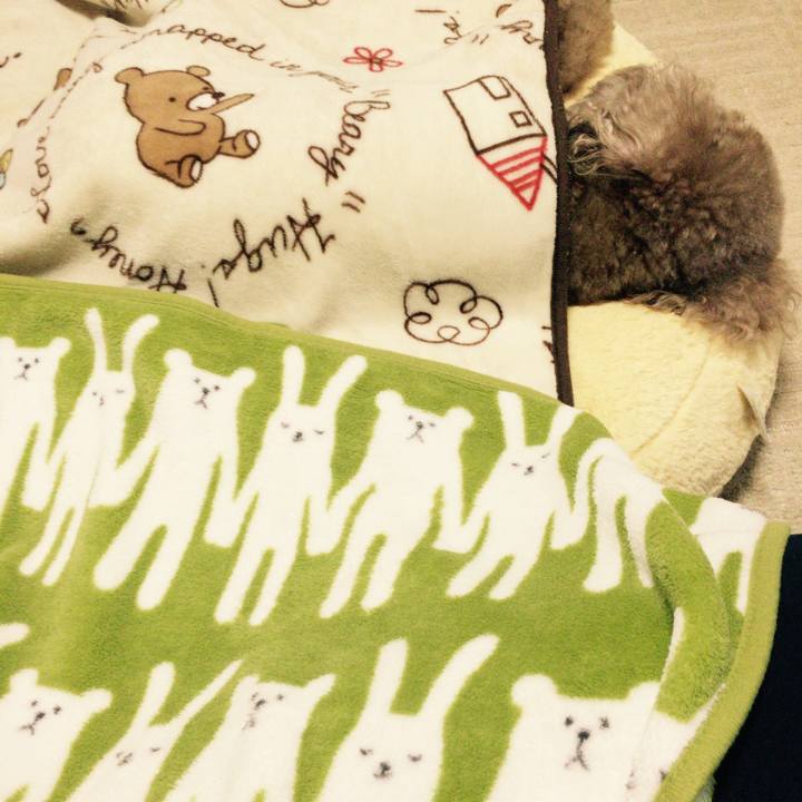 B31ec9dc 37f6 4767 b49e 52bcdb31b739