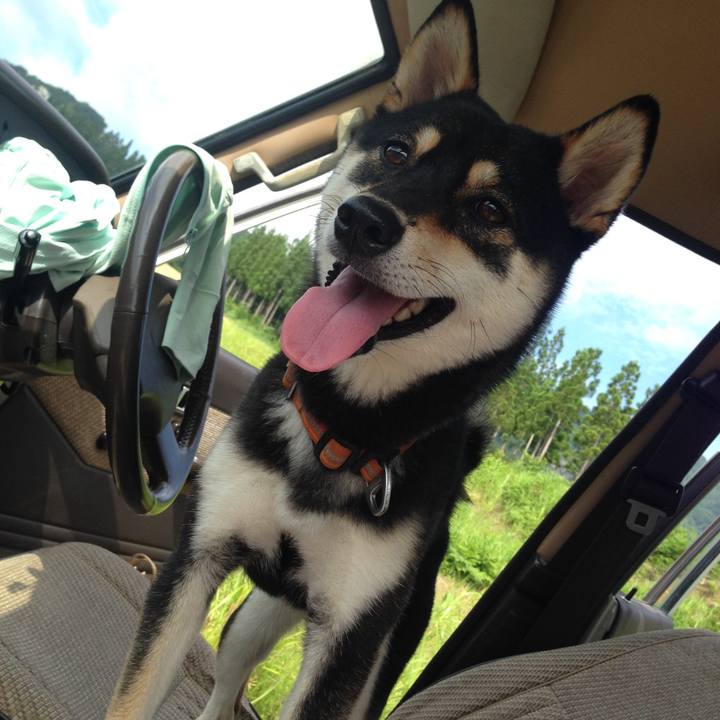 B31f6630 8db8 4847 a344 922dc781df12