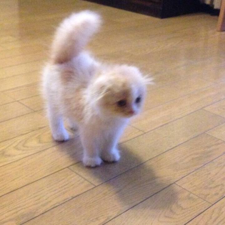 B31f8d21 5f7c 4406 b570 dc1acfc4fe5e