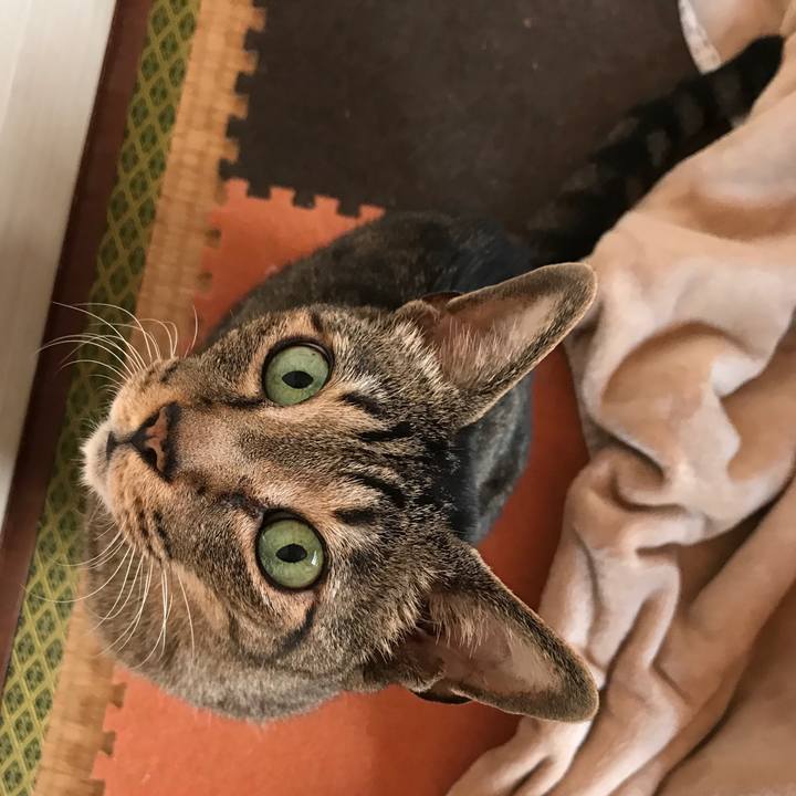 B320846e 715e 4518 a88e 7a34fc1a7de1