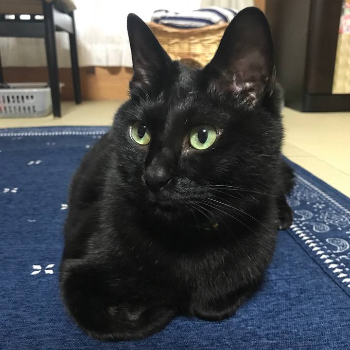 B320866e 91ec 467c bf62 4086eafb1dbc