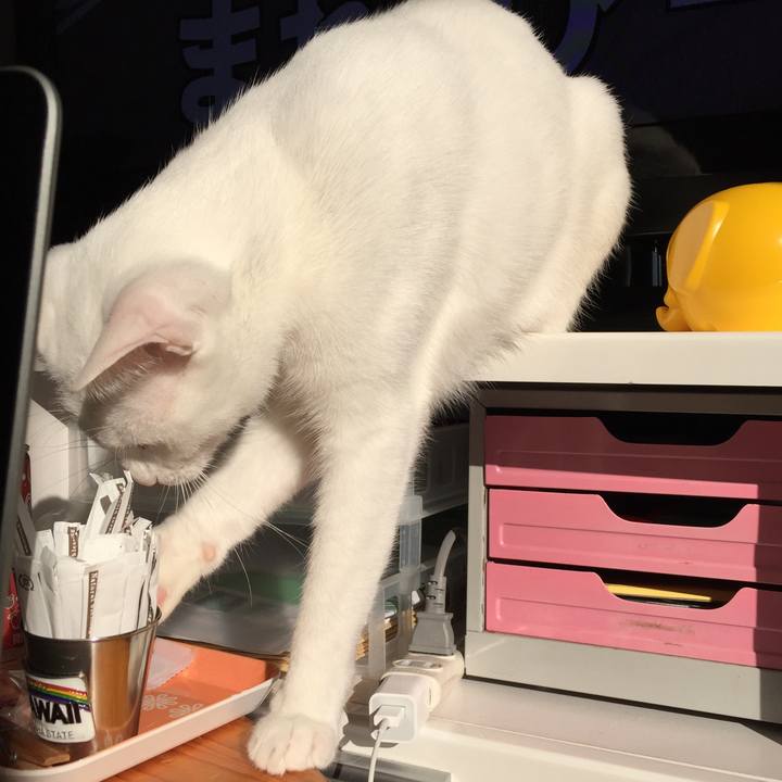 B3213e52 2ab3 4cfc 870b 6edbfd358630