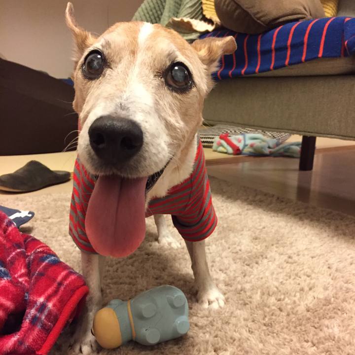 B3215770 85f4 43b2 bcbb e94be4d6c618