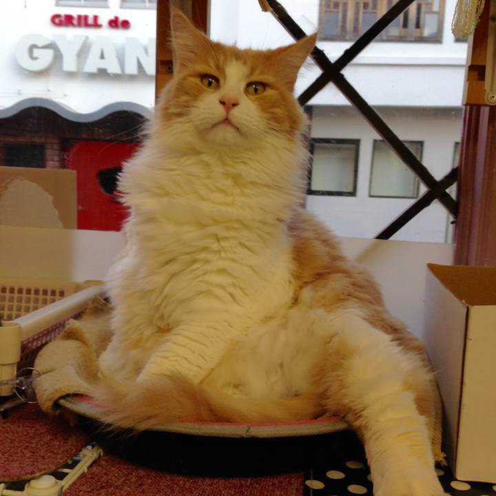 B321c461 5951 4cdf a7a7 d2d8a1911237