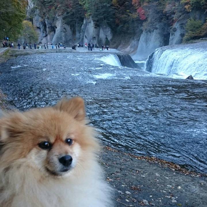 B322111e 293a 4e08 9220 a98a027e06af