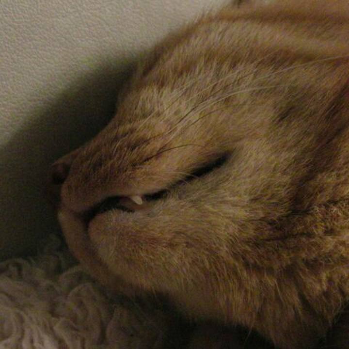 B32393f6 843d 4bbe 963c 1fdc33eb0fd4