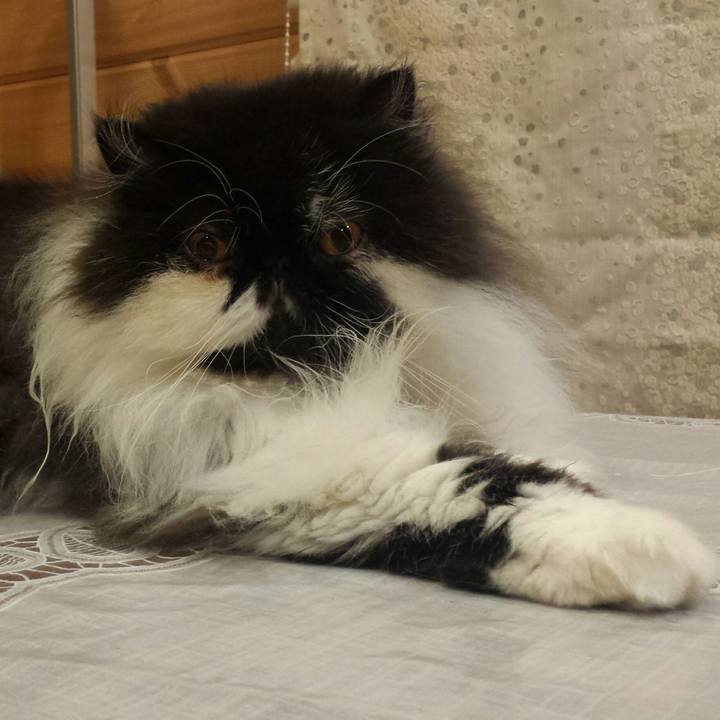 B323dd80 bcd6 4872 be17 6cb1eb1433db