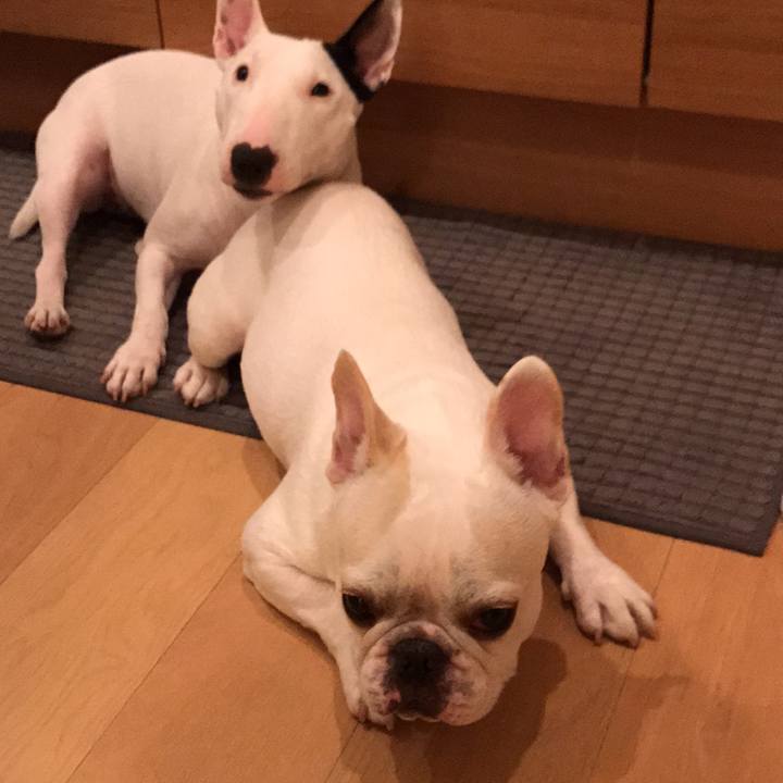 B3241111 e2cf 4a34 bb3e 68de1e0b1e1e