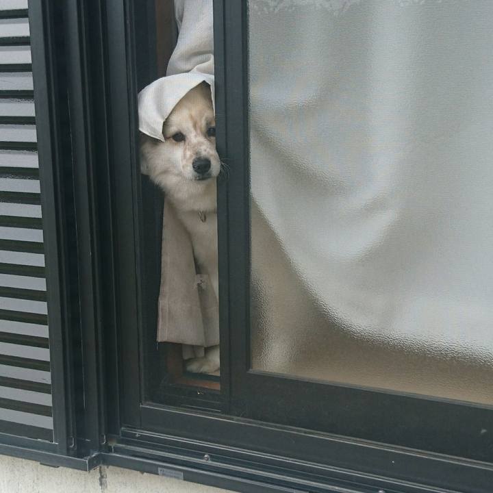 B3247dce 333f 489a 8870 7574b9ad2ab1