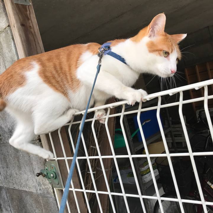 B324c656 62c6 44ab b25a ff332c6a318e