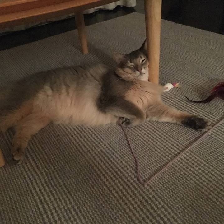 B324d186 5881 4be0 95c6 41f06932115c