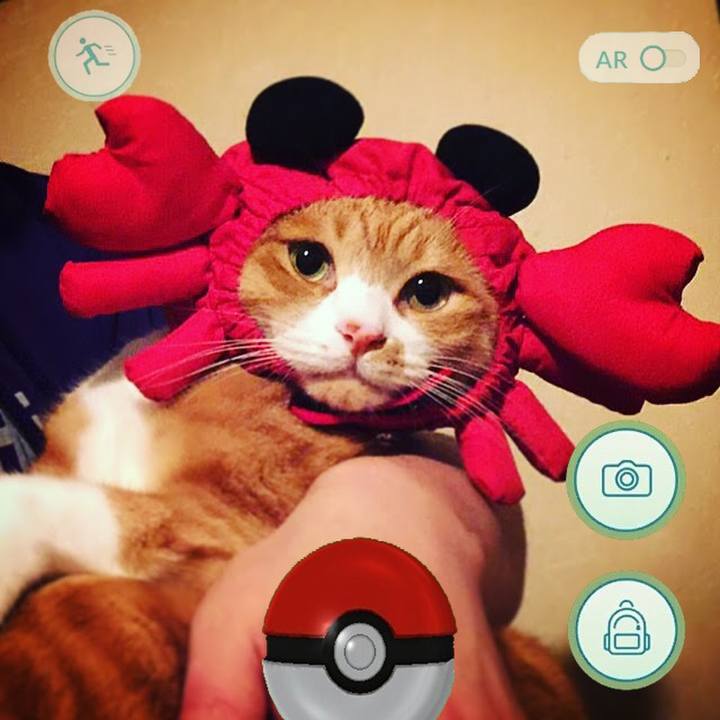 B3255b57 4ed7 4bbd 9b05 c7b14865cb81