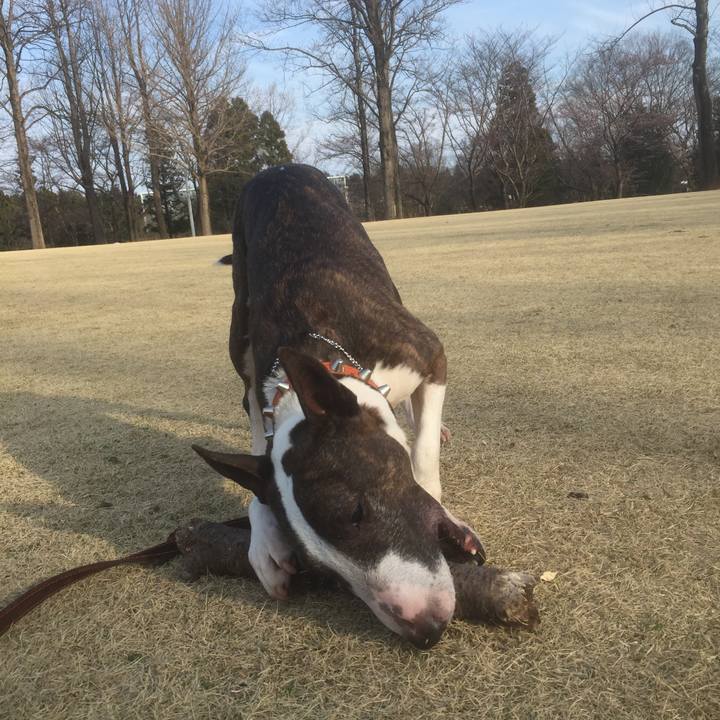 B3258640 3d87 4c12 b5e8 d77884c55b73