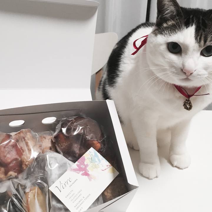 B325c36b 3fd3 44f6 a6aa b25cf8dd8aca