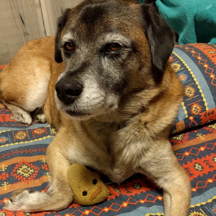 B325e52b fc1c 456c b4b4 c9cd520a7a32