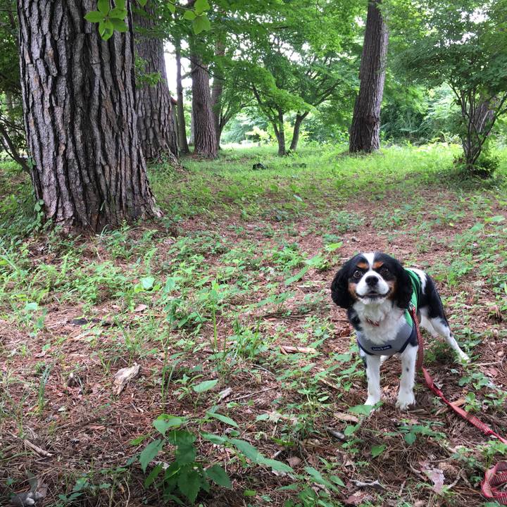 B326b302 00c1 447f aa9b 493bfb740b6c