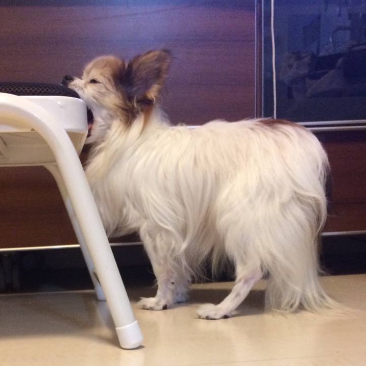 B327408a c26c 4b60 bf00 3307058a0e80