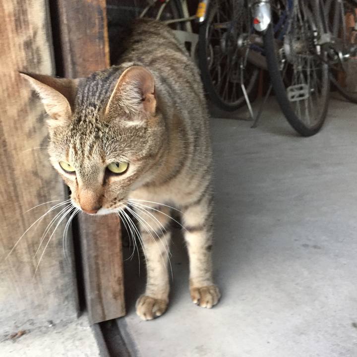 B3275843 497b 4664 ae17 f6f9d8646e34