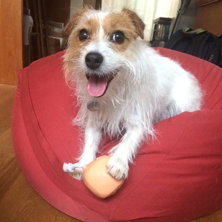 B327900c 9ea4 46d1 9fbc 1e104d806f06